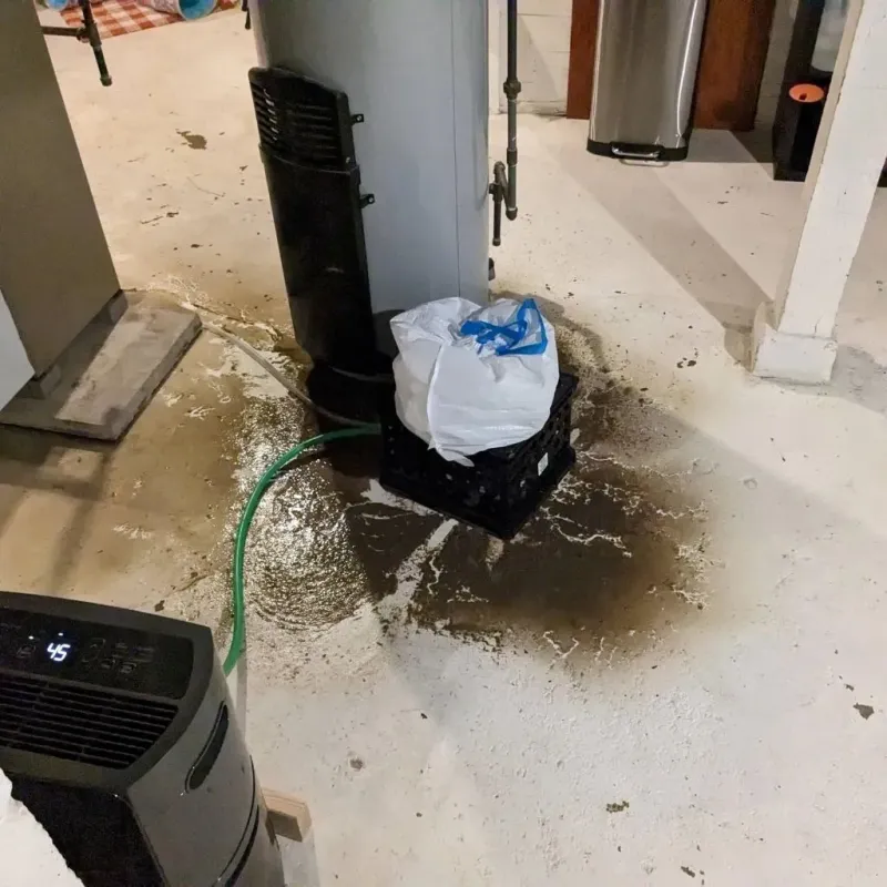 Sewage Backup Cleanup Service in Concordia, KS